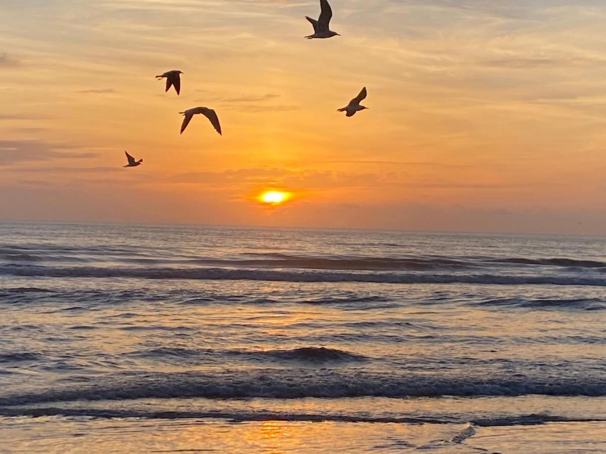 I Need A Vacay Now! Remodeled Studio Daytona Beach Exteriör bild